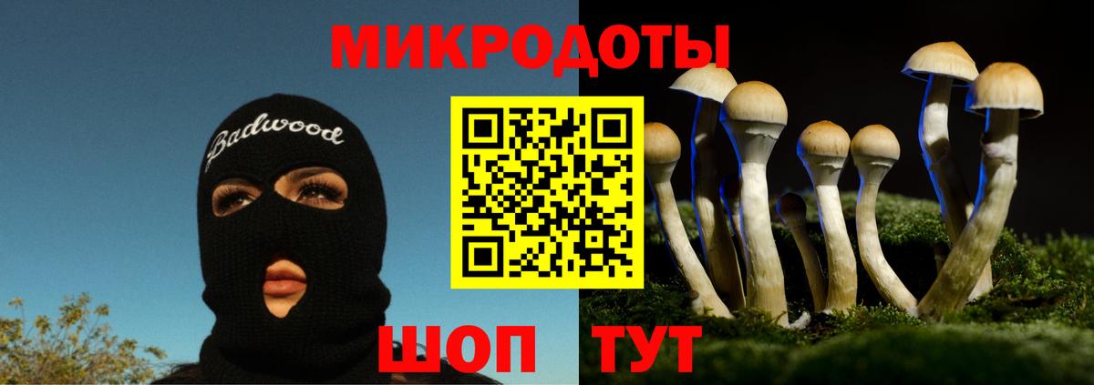 Галлюциногенные грибы мицелий  Галлюциногенные грибы ЛСД  Вход с VPN  Фролово 
