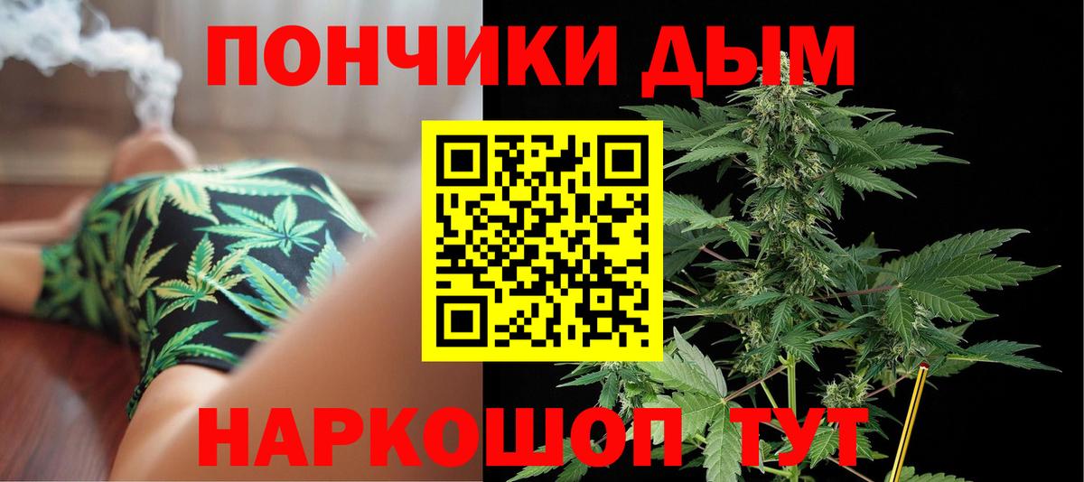 Фролово  Бошки Шишки SATIVA & INDICA  Каннабис семена  Вход с VPN  Конопля OG Kush  Канабис Bruce Banner 